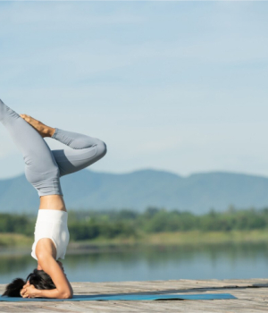 Dự án tiêu biểu 3