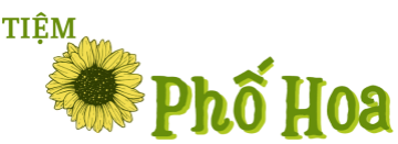 Shop Diễm Phố Hoa