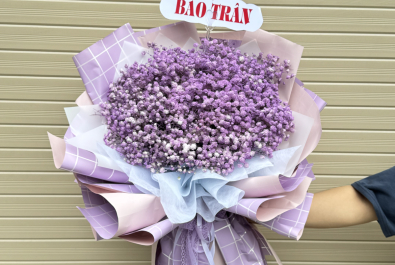 Bó - Giỏ hoa babi