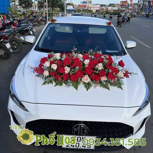 Hoa Xe - MS05
