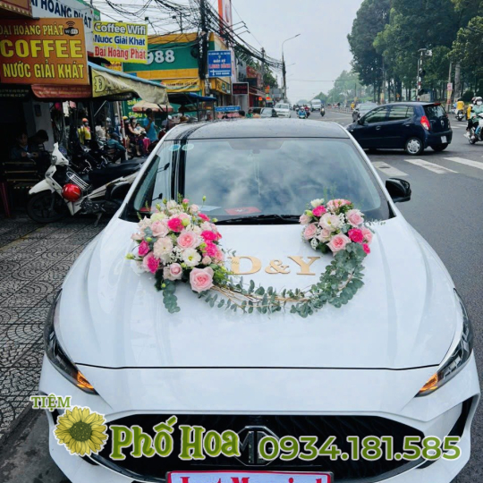 Hoa Xe - MS06