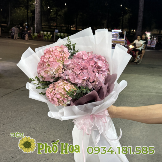 Cẩm tú cầu màu hồng 🌸
