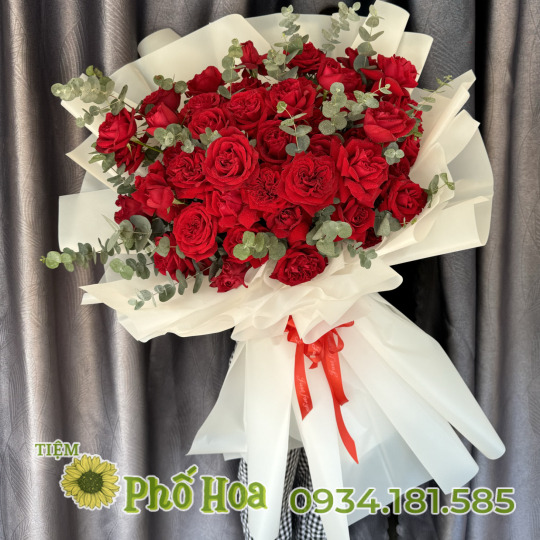 BÓ HỒNG OHARA NGOẠI