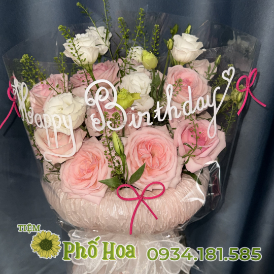 BÓ TRÒN ĐỨNG HIỆN ĐẠI