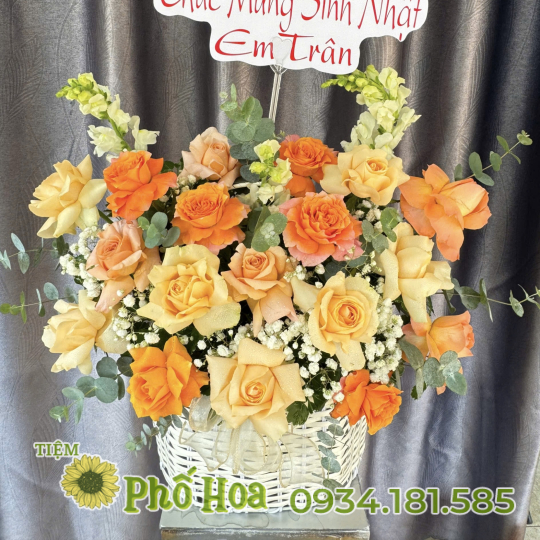 Hồng gà mix cam