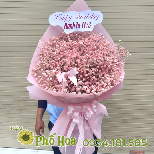 Bó babi hồng